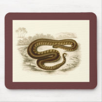 Orbigny - Elephant-trunk Snake mousepads by LisasLair Orbigny - Elephant-trunk Snake mousepads