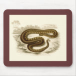 Orbigny - Elephant-trunk Snake Mouse Pads