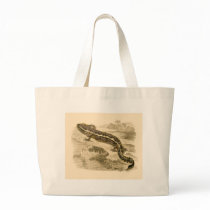 Orbigny - Salamander - Menobranchus lateralis bags