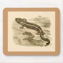 Orbigny - Salamander - Menobranchus lateralis mousepads