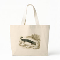 Orbigny - Salamander - Menopoma alleghnensis bags