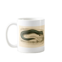Orbigny - Salamander - Siren lacertina Promo mugs