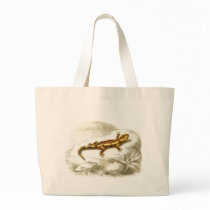 Orbigny - Spotted Salamander - Salamandra maculosa bags