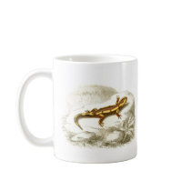 Orbigny - Spotted Salamander - Salamandra maculosa mugs