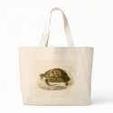 Orbigny - Tortoise - Testudo mauritanica bags