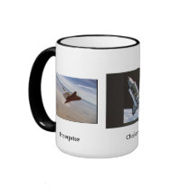 Orbiter Trio / Enterprise Challenger Columbia mugs