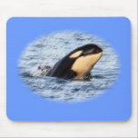 Orca Baby Spy Hop In Pastel mousepads