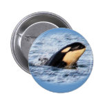 Orca Baby Spy Hop In Pastel buttons