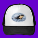 Orca Baby Spy Hop In Pastel hats