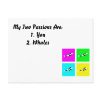 Orca Blocks In Four Colors Postcards