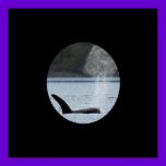 orca breach poster posters