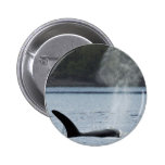 Orca Breath: BIG buttons