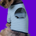 Orca Breath: BIG pet clothing