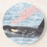 Orca Christmas Winter Wonderland Holiday coasters