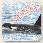 Orca Christmas Winter Wonderland Holiday cork coasters