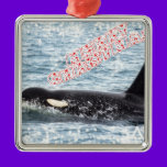 Orca Christmas Winter Wonderland Holiday ornaments