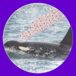 Orca Christmas Winter Wonderland Holiday plates