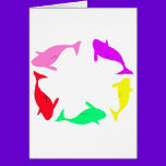 Orca Circle cards