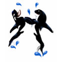 Orca Dance T-Shirt