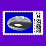 Orca Eye Postage Stamp stamps