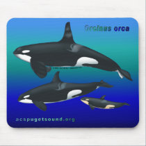 Orca Family Mousepad on Ocean Blues bkg mousepads