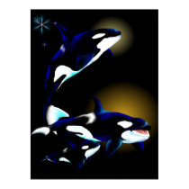 Orca Family posters