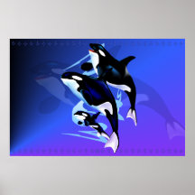 Orca Family Print