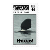 Orca Hello Stamp