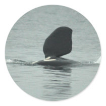 Orca Hello Stickers by OrcaWatcher Orca Hello Stickers