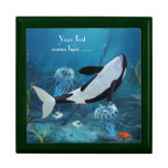 Orca II Gift Box