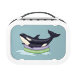 Orca in a kiddie pool lunch boxes