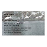 Orca in Prince William Sound Business Cards