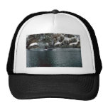 Orca in Prince William Sound Mesh Hat