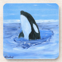 Orca killer whale beverage coasters