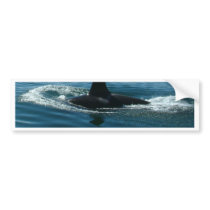Orca Killer Whale bumper stickers