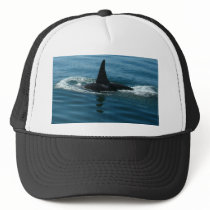 Orca Killer Whale hats