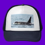 orca killer whale hat - it's a killer hats
