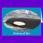 Orca Killer Whale Head - Oval cards