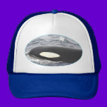 Orca Killer Whale Head - Oval hats