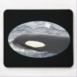 Orca Killer Whale Head - Oval mousepads
