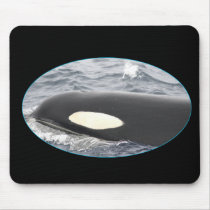 Orca Killer Whale Head - Oval Mouse Pad