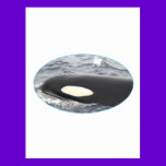 Orca Killer Whale Head - Oval postcards