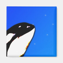 Orca Killer Whale Spy Hops on a Blue Starry Sky Fridge Magnet