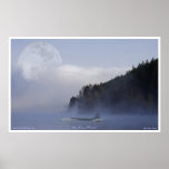 Orca Killer Whale & Super Moon Wildlife Art Print
