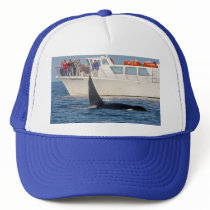Orca Killer Whale -transient, washington Hats