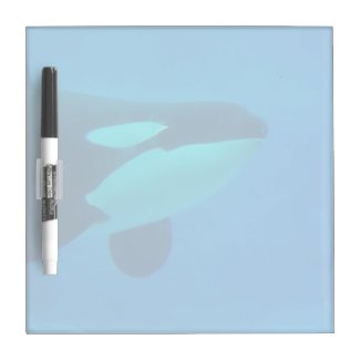 orca killer whale underwater blue Dry-Erase board