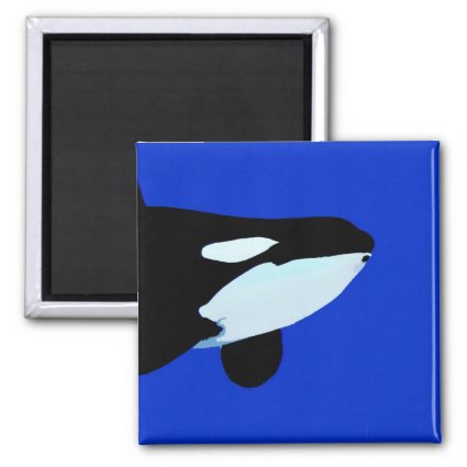 orca killer whale underwater graphic fridge magnets