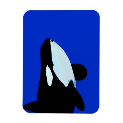 orca killer whale underwater graphic rectangular magnets