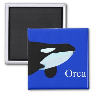 orca killer whale underwater graphic txt magnet