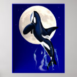 Orca Moon Poster